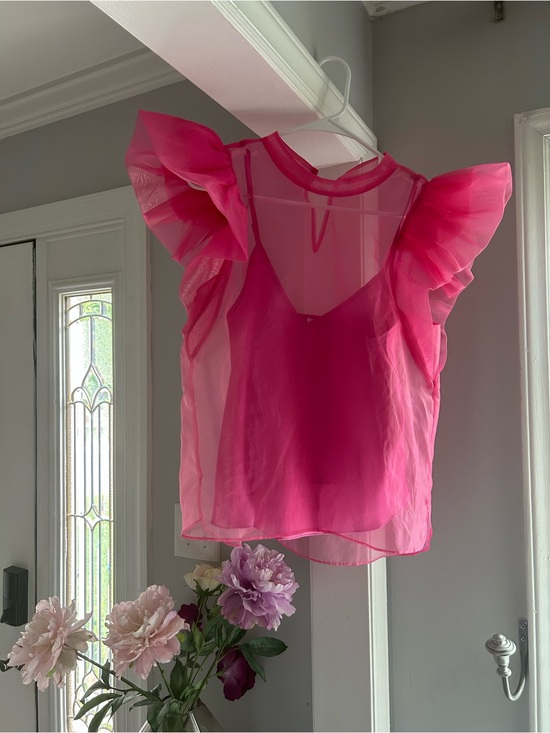 Buddy Love Tops - Buddy Love Hot Pink Sheer Ruffle Sleeve Blouse